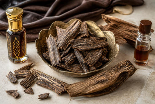 Where to Find Rare Arabic Oud: 7 Best Sources